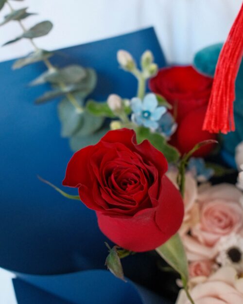 graduation snorlax blue star zoom 2