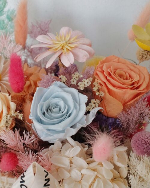 cornelia dried preserved blue rose