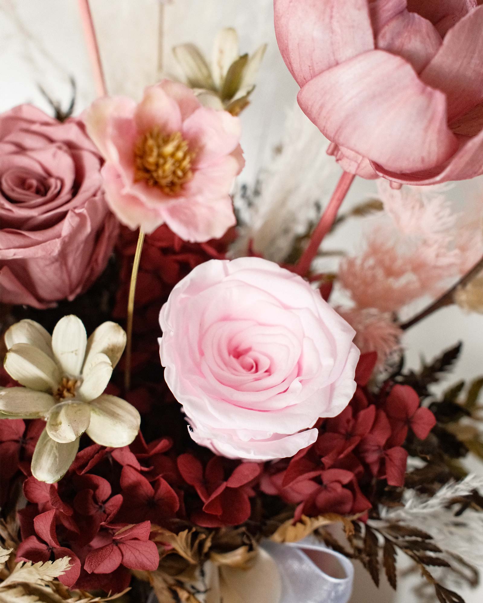 Norah (Dried & Preserved flowers) Norah pink zoom