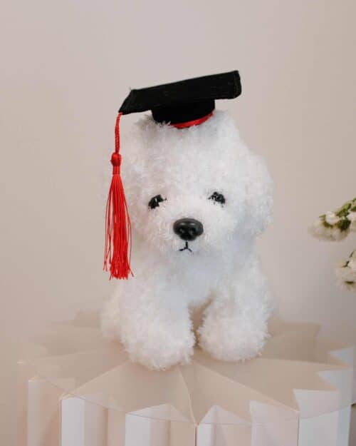 Graduation Snowy