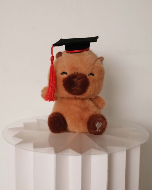 Graduation Capybara capy