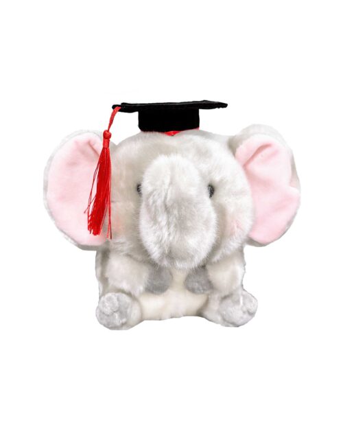 Bobo Graduation bobo