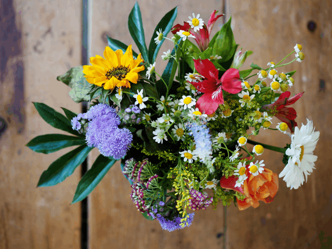 Get Well Soon Messages to Show You Care get well soon messages to show you care