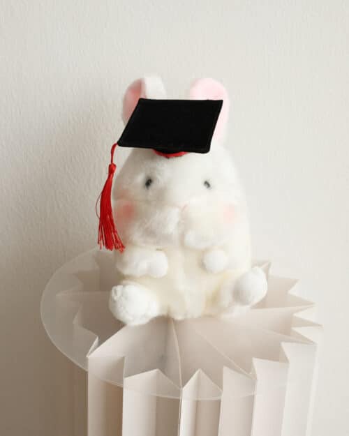 Graduation bunz