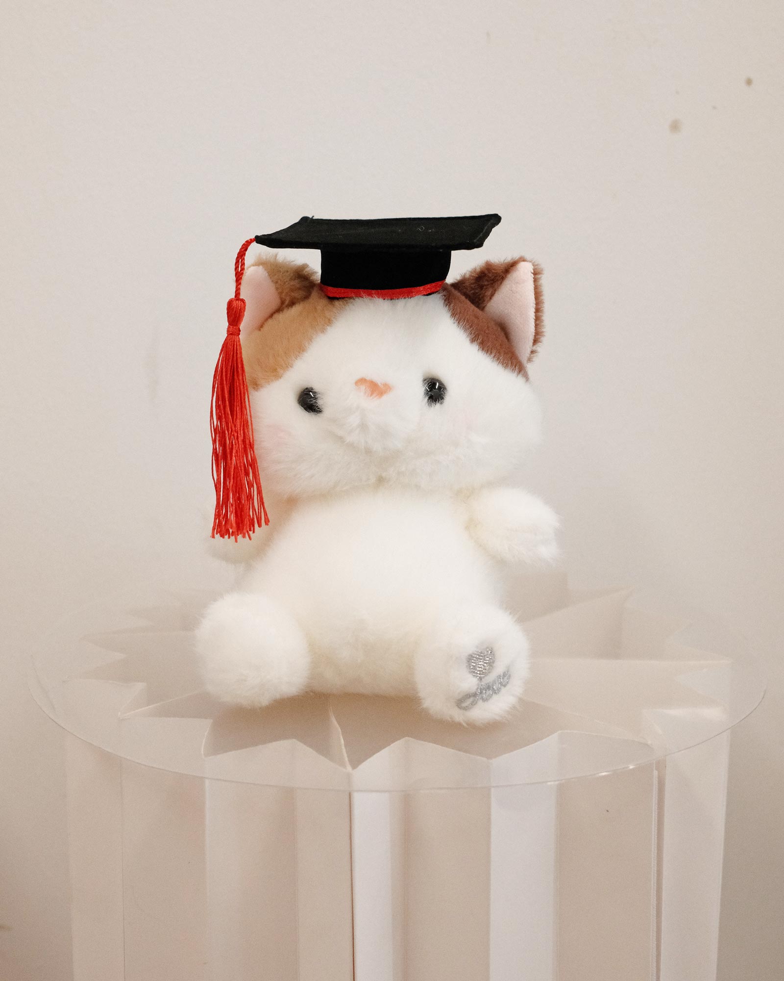 Mimi Mimi new graduation