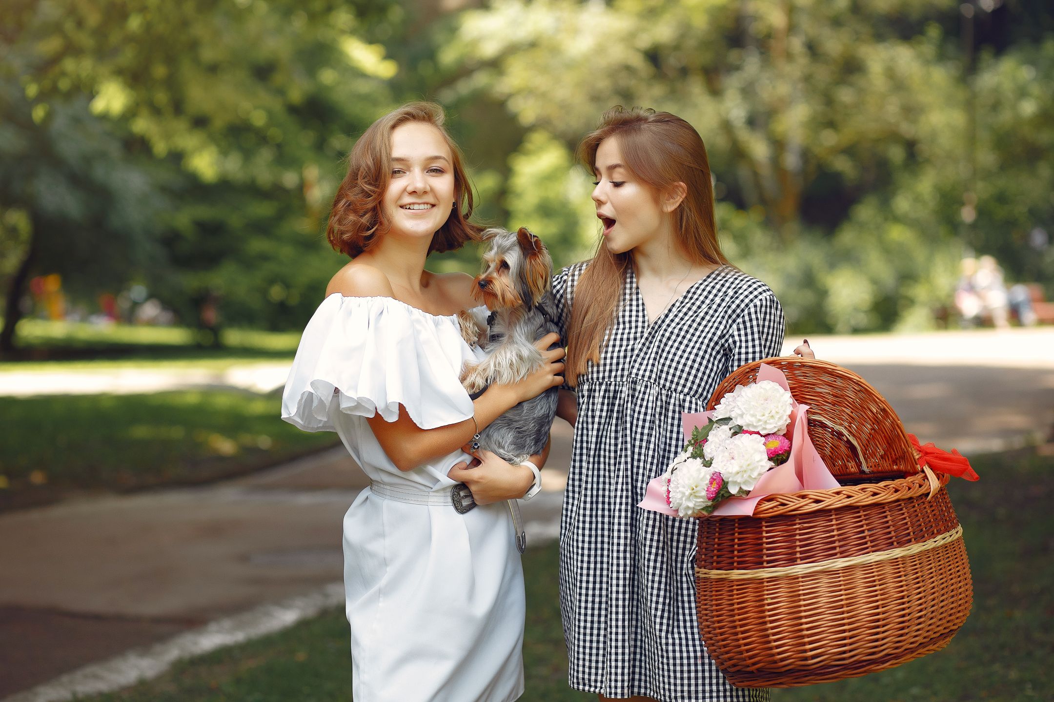 Pet Friendly Flowers in SIngapore: Blooms Safe for Cats and Dogs Pet Friendly Flowers in SIngapore: Blooms Safe for Cats and Dogs