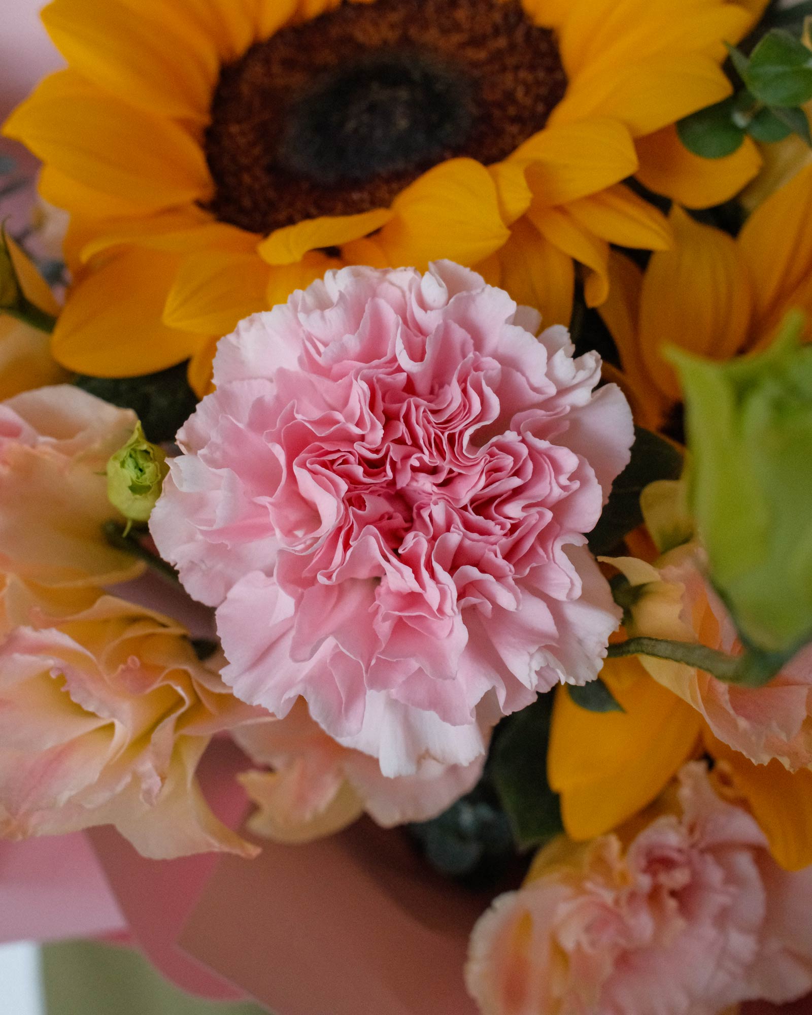 Mother's Day Isadora isadora zoom 1