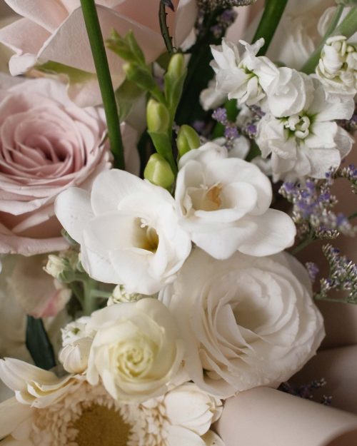 Callie ( Pet Safe Bouquet ) Calliefreesia